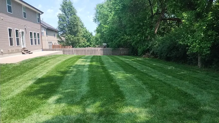 Freshly mowed lawn with parallel stripe lines